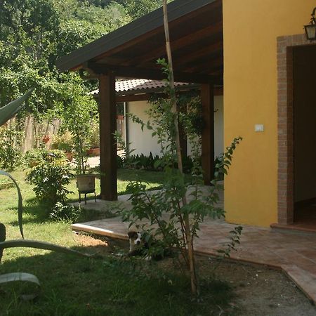 B&B Del Castagneto San Marco Argentano Luaran gambar